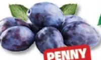 Prune