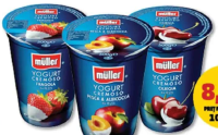 Müller Iaurt fructe diverse sortimente 500g