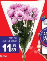 Carrefour Buchet crizanteme, 3 fire