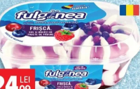 Fulg de Nea Înghețată cu frișcă și sos de fructe de pădure și caise 1000ml