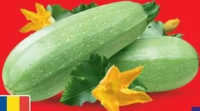 Carrefour Dovlecei per kg