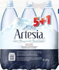 Apă plată Artesia 6x2L