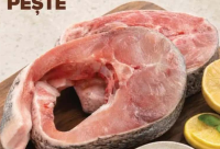 Medalion novac per 100 g