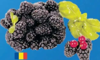Carrefour Mure 125g