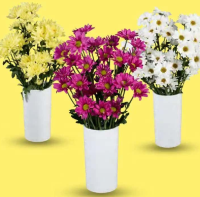 Lidl Buchet crizanteme 3 fire 1 buc.