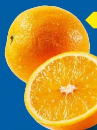 Lidl Portocale plasă 2kg