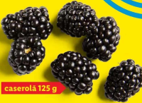 Mure caserolă 125g