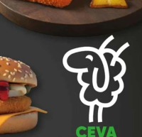 Metro Chef File de somon cu piele 500g