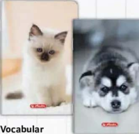 Herlitz Vocabular - 24 file - diverse modele - per buc.