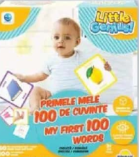 Ultra Games Joc memorie Primele 100 cuvinte