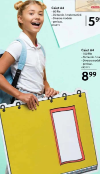 Herlitz Caiet A4 100 file