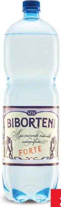 Biborteni Apă minerală carbogazoasă forte 2 l pet