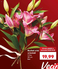 Buchet crini orientali 3 fire 50 cm buc