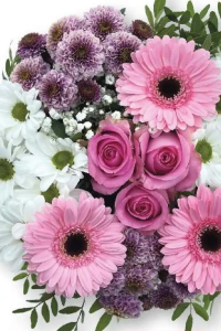 Buchet Strauss înălțime plantă 50 cm