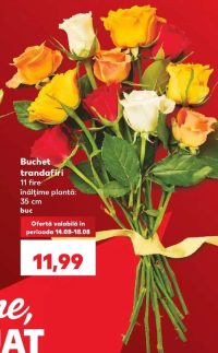 Buchet trandafiri 11 fire înălțime plantă: 35 cm buc