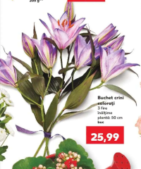 Buchet crini colorați 3 fire înălțime plantă 50 cm