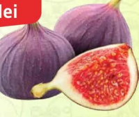 Smochine 1bucată