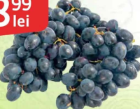 România Struguri negri import per kg