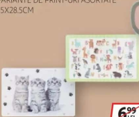 Plăcemat din plastic 43.5x28.5cm