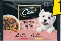 Cesar Selecție în sos cu vită și morcov, cu pui și legume 4x100g