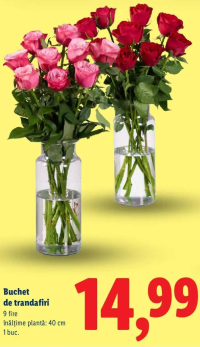 Lidl Buchet de trandafiri 9 fire 40 cm