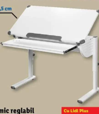 LIVARNO Birou ergonomic reglabil