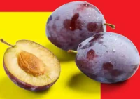 Prune per kg