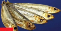 Sprot afumat 170 g