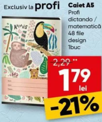 Profi Caiet A5 dictando / matematică 48 file design 1buc