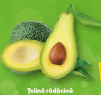 Avocado /buc