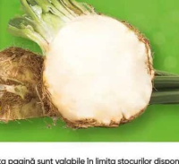Țelină rădăcină /kg