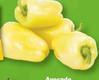 Ardei gras Bianca /kg