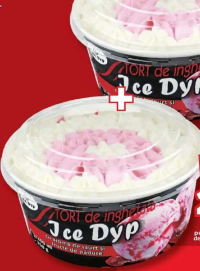 ICEDYP Tort de înghețată iaurt cu fructe pădure / vanilie și cacao 1400 ml