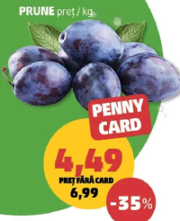 PRUNE pret/kg