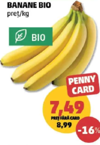Banane BIO pret/kg