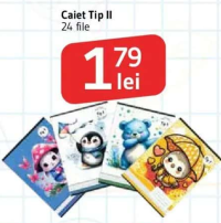 Caiet Tip II 24 file