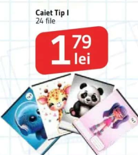 Caiet Tip I 24 file
