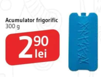 Acumulator frigorific 300 g