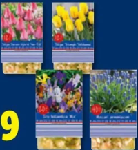 Bulbi de flori primăvară 3-25 de bulbi