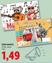 Piccolo Caiet muzică 24 file, capsat 1 buc.