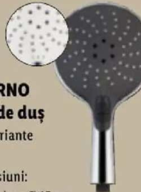 LIVARNO Pară de duș Ø 15 cm