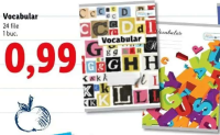 Vocabular 24 file 1 buc.