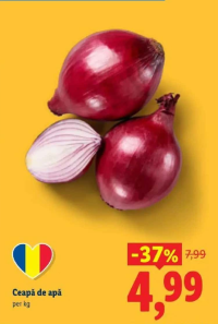 Ceapă de apă per kg