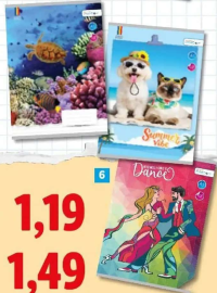 Pridcom Caiet A5 48 file dictando / matematică capsat 1 buc.