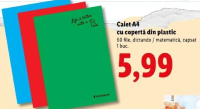 Caiet A4 cu copertă din plastic 60 file, dictando / matematică, capsat 1 buc.