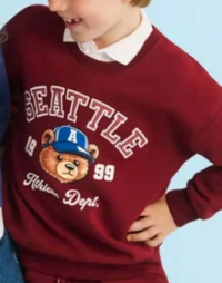 Bluza băieți cu print stil college