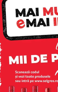 Metro Chef Zmeură 500g