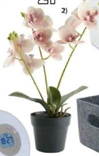 GUDJON plantă artificială Orhidee Ø9x35 cm