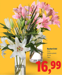 Buchet Crini 3 fire