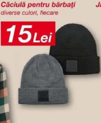 Căciulă pentru bărbați diverse culori